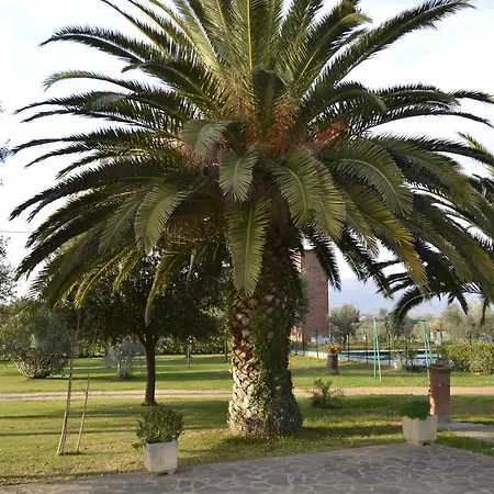 Holiday home Valdamone Suvereto