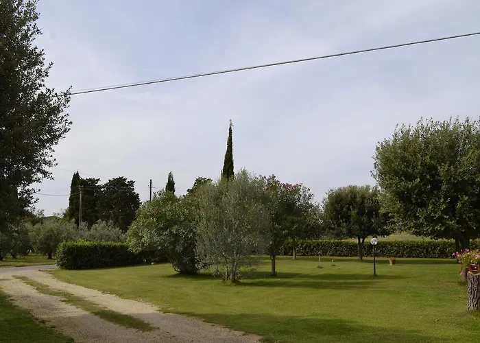 Valdamone 수베레토